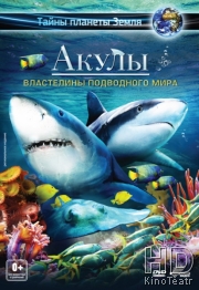 Смотреть Акулы 3D: Властелины подводного мира / Sharks 3D: Kings of the Ocean онлайн